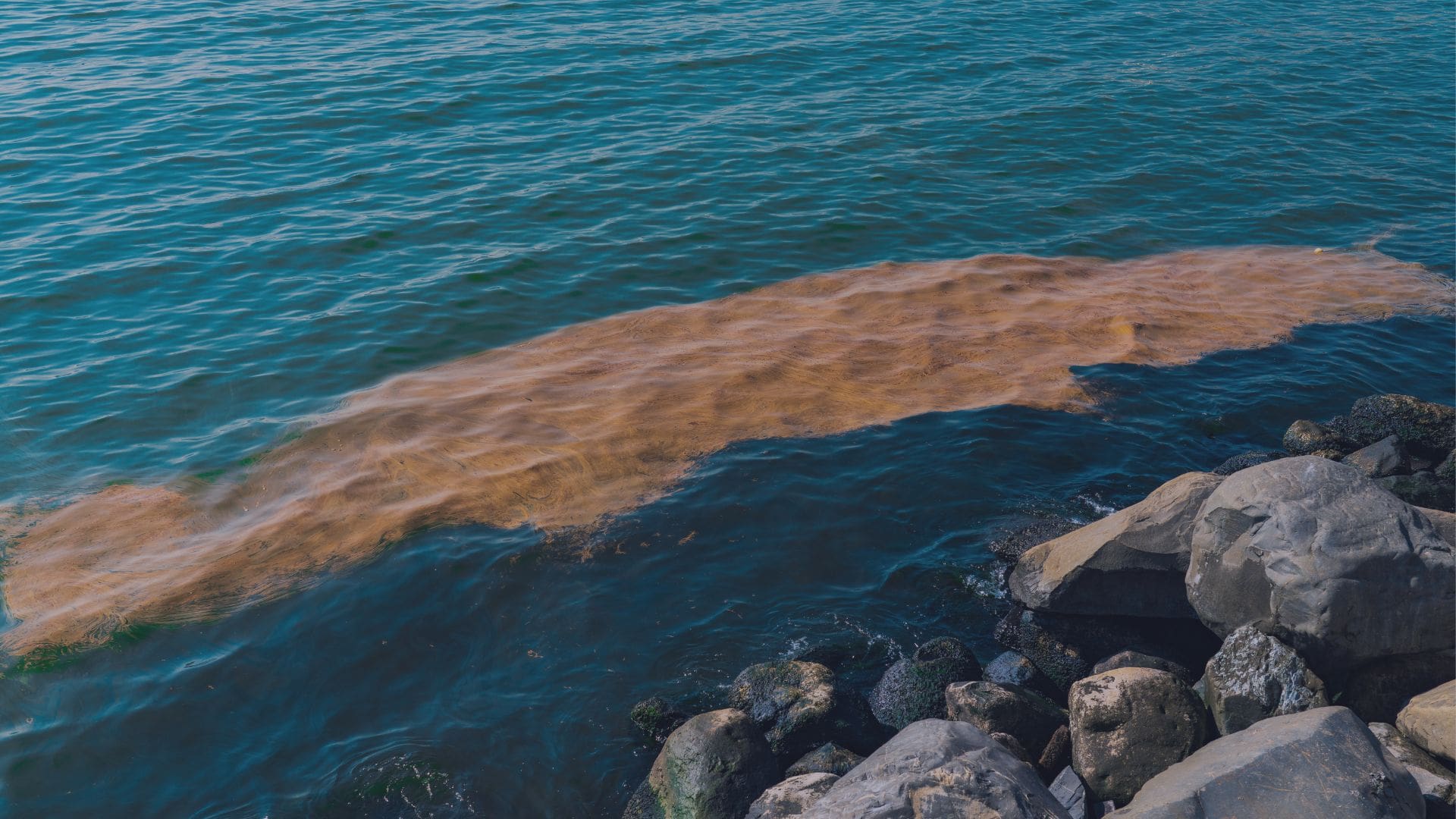 Oil waste in ocean