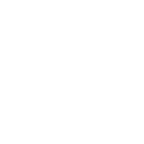 Annual Pay Review Icon White