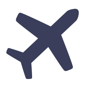 Aviation Icon