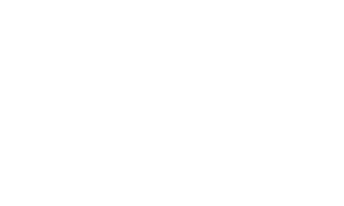 BirdsEye Logo White Transparent