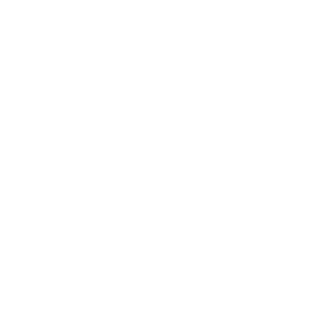 Carbon Footprint Icon White