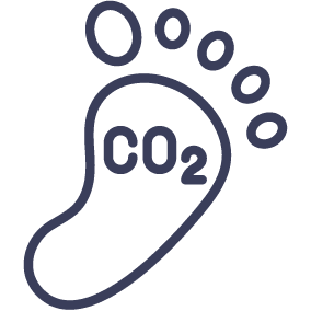 Carbon Footprint Icon