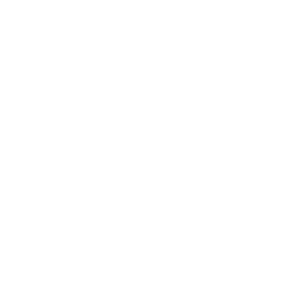 Cardboard Icon White