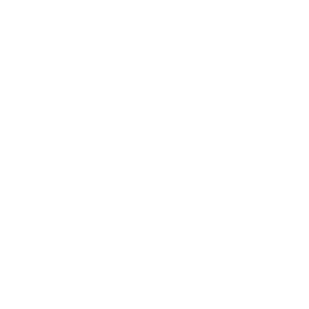 Health Care Scheme Icon White