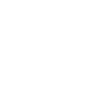 Landfill Icon White