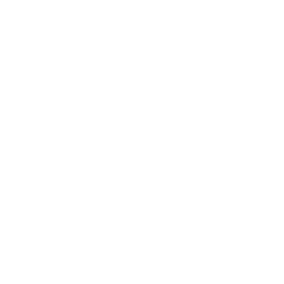Money Saved Icon White