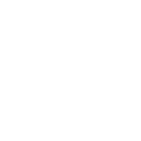 Partnership Icon White