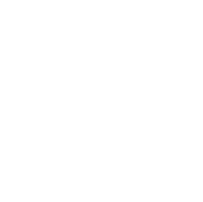 Perkbox Icon White