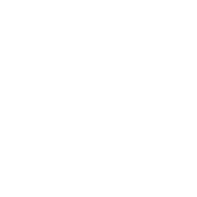 Plastic Icon White