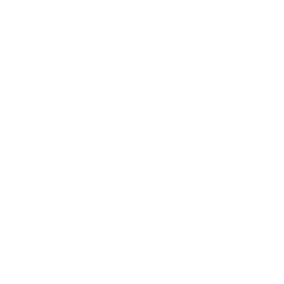 Rebates Icon White