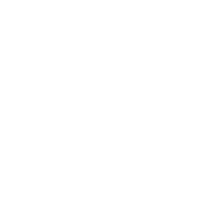 Recycling Icon White