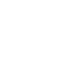 Reporting System Icon White