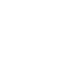 Review Icon White