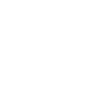 Segregation Icon White