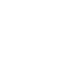 Statutory Holiday Icon White