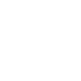 Training and Development Icon White