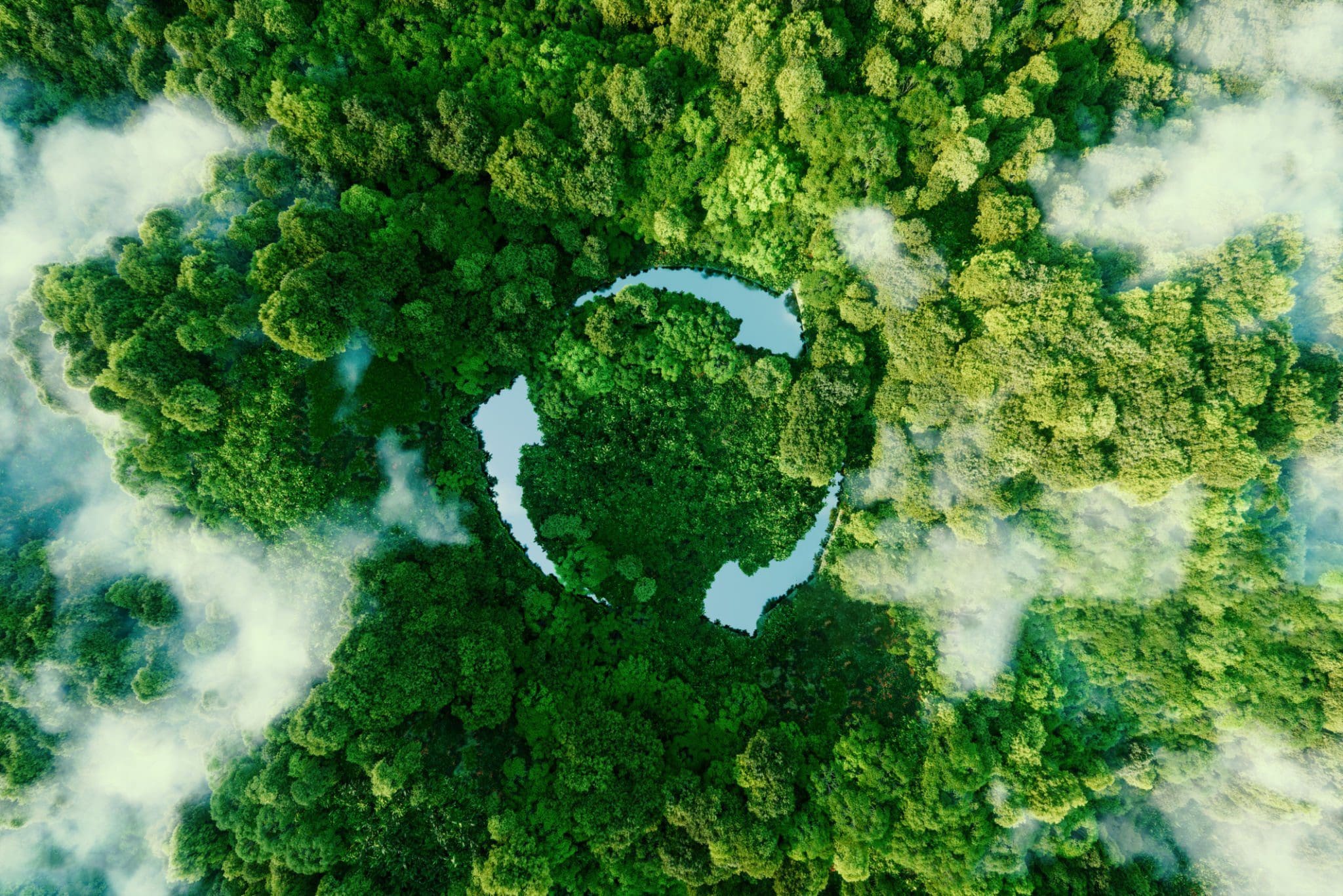 Birds eye view of Recycling ecological image in a forest
