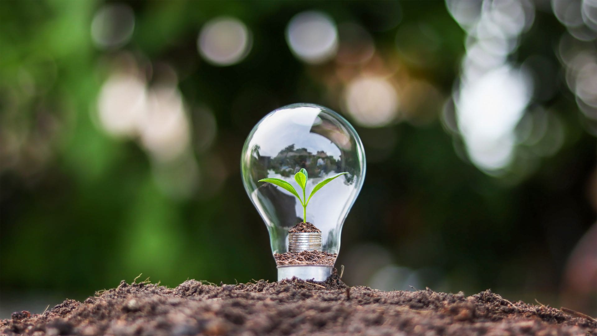 lights bulb planted in the ground with plant inside it