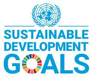 Sustainable Development Goals Logo