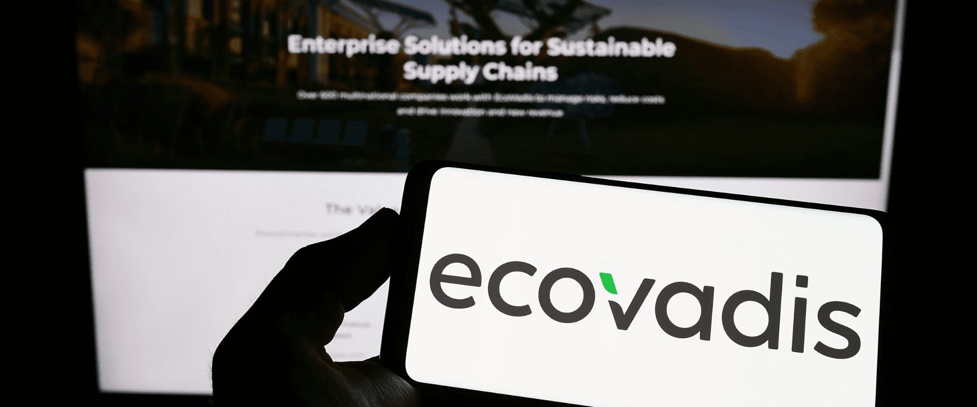 EcoVadis Computer Screens