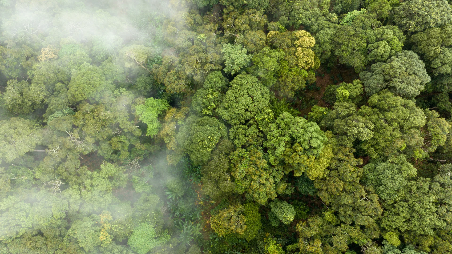 ESG, Carbon Reduction