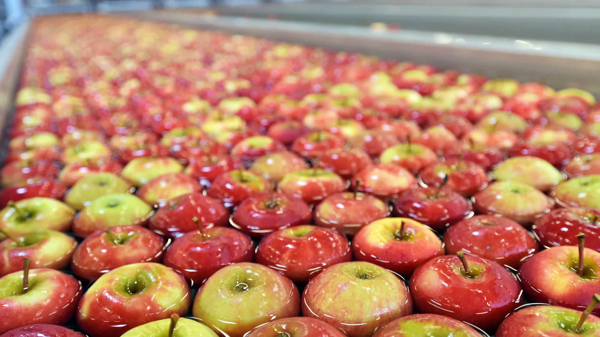 Food production image