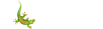 Bostik